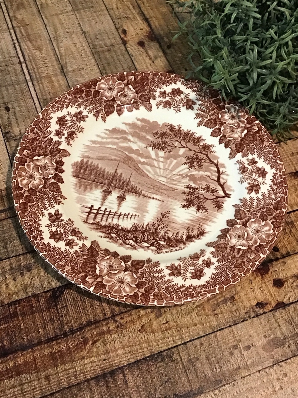 ♥️5/25$ vintage dinner plate